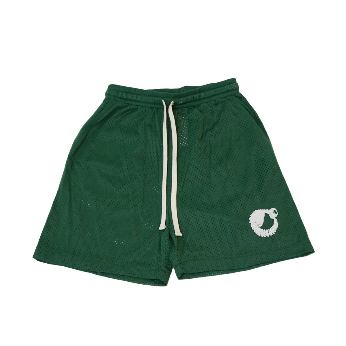 Everyday Shorts in Green Mesh